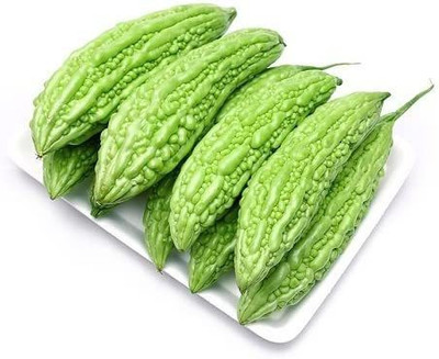 WILLVINE NBIR-87 Chinese Bitter Gourd-100 Seed(100 per packet)