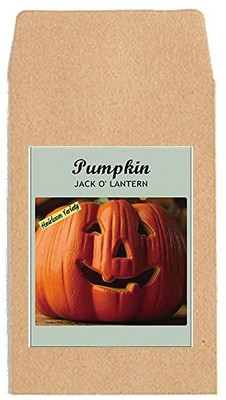 CYBEXIS Hybrid Vegetable Seeds-Lantern Pumpkin-50 Seeds Seed(50 per packet)
