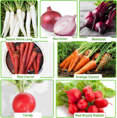 Greenery Hub Exotic Root Vegetable Seeds Combo Seed(7 per packet)