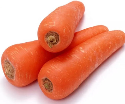 VINSIN विलायती गाजर Orange Carrot Seed(200 per packet)