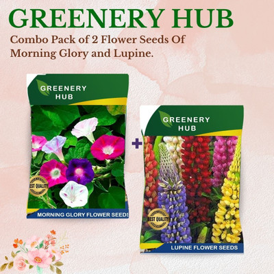 Greenery Hub Home Garden Seed Combo – Grow Your Greenery Seed(2 per packet)