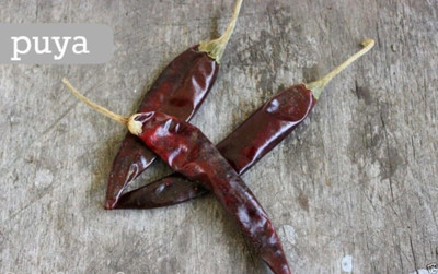 Qualtivate PUAS-9A Pulla or Puya Chilli Chilli Chile(Pepper) Seed(300 per packet)