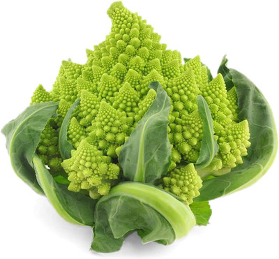 WILLVINE LXI-653 F1 Romanesco Broccoli Seed Seed(200 per packet)