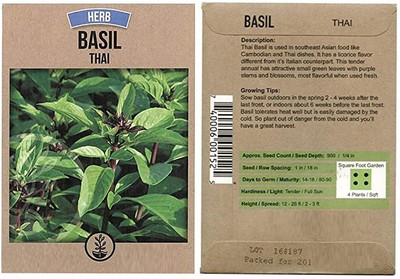 CYBEXIS Herb Garden Seed Collection:Thai Basil1000 Seeds Seed(1000 per packet)