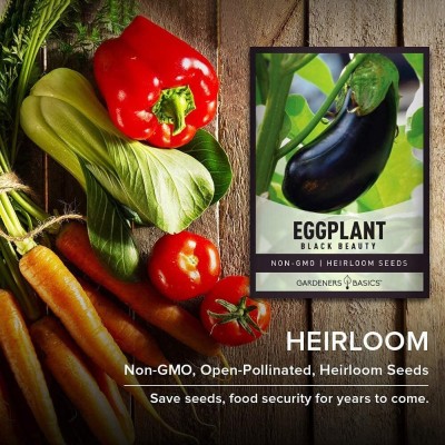 Qualtivate HYB-5A Black Beauty Solanum melongena Brinjal Seed(300 per packet)