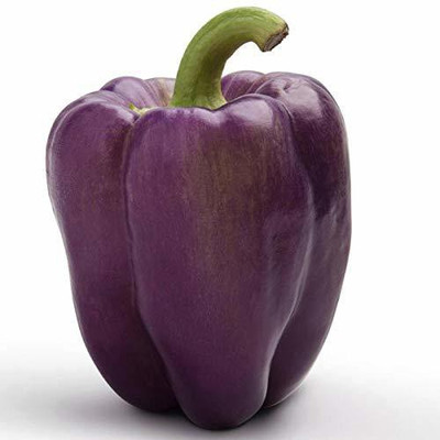 KANAYA Shimla Mirch F1 Hybrid Vegetable Seed(100 per packet)