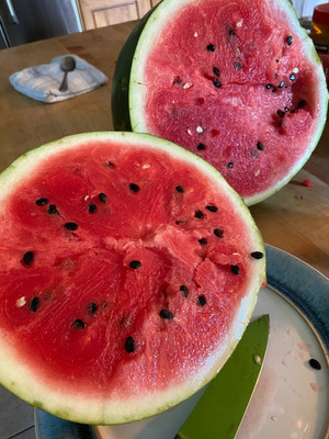 Farmonix Sweet and delicious watermelon Seed(30 per packet)