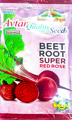KRASHAK Red BeetRoot- Chukander Seed(2 per packet)