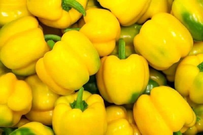 TRICONE Hybrid Yellow Lumos Capsicum Plant Seeds Outdoor Gardening 150 Seeds Q36 Seed(150 per packet)