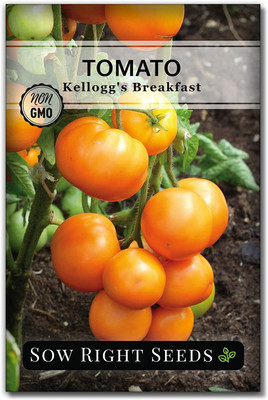 CYBEXIS VXI-87 - Kellogg's Breakfast Tomato - (1350 Seeds) Seed(1350 per packet)