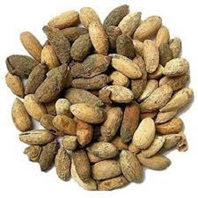 Shiv-Shakti Group Neem Seed(10 per packet)