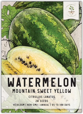 Biosnyg Mountain Yellow Watermelon Fruit Seeds For Gardening-(100 Seeds) Seed(100 per packet)