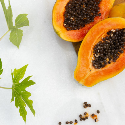 KLARKEE Organic Extra Large Papaya Seed Seed(20 per packet)