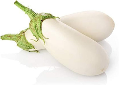 KNESSiN MAX-7 Brinjal White Seed(500 per packet)