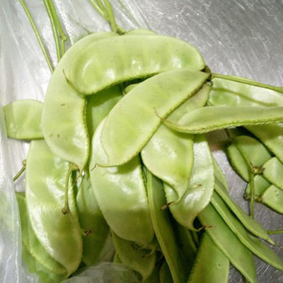 CYBEXIS Haricot Vegetable200 Seeds Seed(200 per packet)