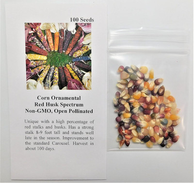 WILLVINE MEH -III Popcorn Red Husk Spectrum Corn-[500g] Seed(2000 per packet)