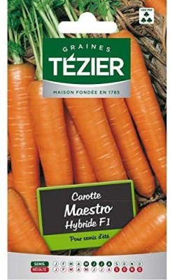 CYBEXIS Carrot Maestro HF1 Seeds1000 Seeds Seed(1000 per packet)