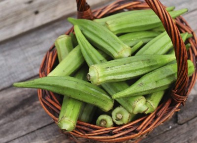 SUAA Okra, Bhindi, Ladies Fingers Seed(105 per packet)