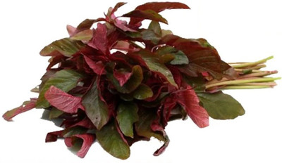 URRO Amaranthus - Red Seed(1000 per packet)