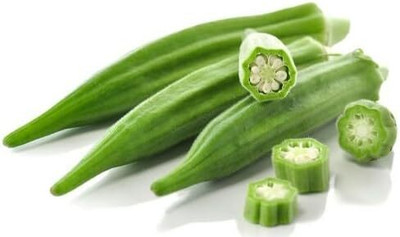 Qualtivate HYB-1A Okra Dwarf Long Green Pod Seed(350 per packet)