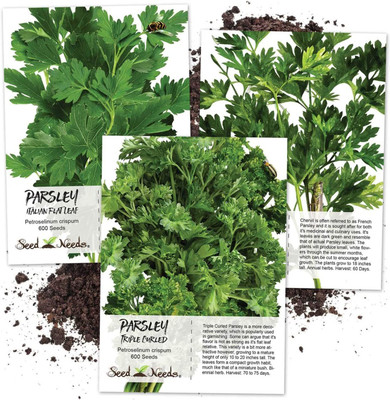 CYBEXIS NBIR-59 - Parsley Trio (3 Individual Packets) - (2250 Seeds) Seed(2250 per packet)