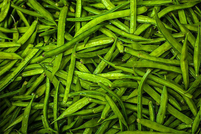 XOLDAA CLUSTER BEANS SEEDS Seed(11 per packet)
