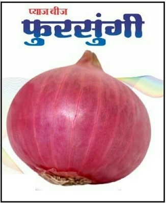Biosnyg Non GMO Red Puna Fursungi Onion Vegetable Seeds For Planting-(3000 Seeds) Seed(3000 per packet)