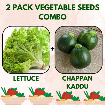 Infiniteseeds 2 Pack Combo Of Lettuce And Chappan Kaddu Vegetable Seeds Seed(50 per packet)