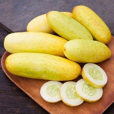 Quentova POONA KHEERA CUCUMBER SEED-HQ-22Y Seed(300 per packet)