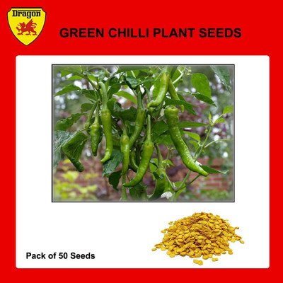 Cloud Farm Green Chilli Seed(50 per packet)