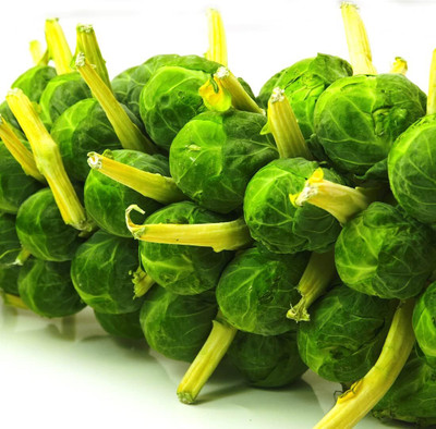 WILLVINE HUA -V Catskill Brussel Sprout Seeds [2.5g] Seed(750 per packet)