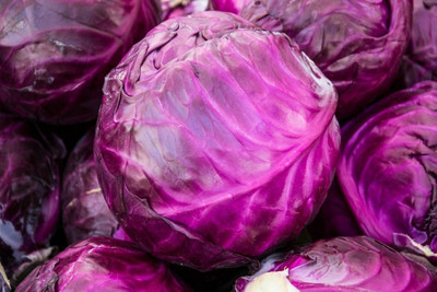 MYLAWN Cabbage Red Acre Giant Seed(100 per packet)