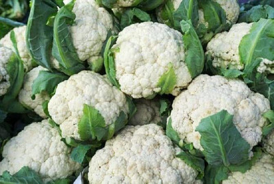 Aywal Snowball Cauliflower Seed(150 per packet)