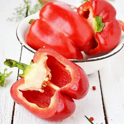 CYBEXIS Hybrid Red Capsicum Seeds2400 Seeds Seed(2400 per packet)
