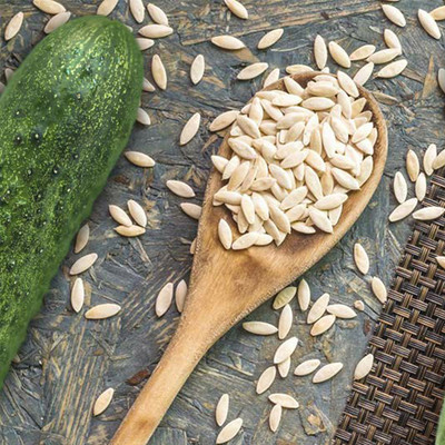 naturehils Cucumber Seeds for Home Gardening, F1 Hybird Seeds for Farming Seed(50 per packet)