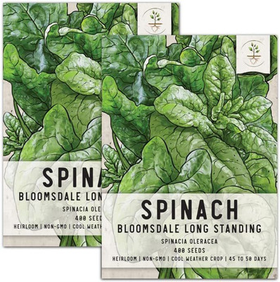 WILLVINE GBPUT-278 Bloomsdale Long Standing Spinach Seed(500 per packet)