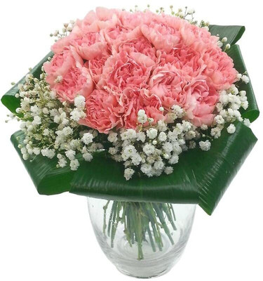 Epazo Carnation Mixed Flower Seed(50 per packet)