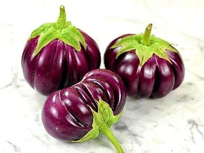 LPR BAGAN Seed(50 per packet)