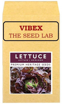 CYBEXIS Red Lettuce Hybrid Seeds1000 Seeds Seed(1000 per packet)
