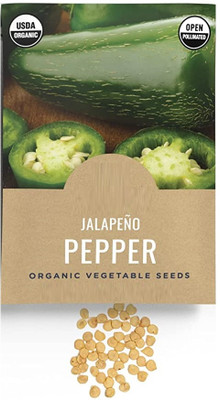 Qualtivate PUAS-1A Jalapeno Pepper Chilli Seed(300 per packet)