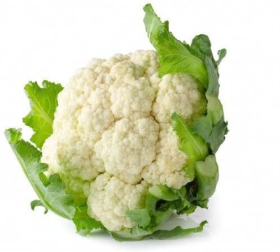 Aywal Pusa Hybrid Cauliflower Seed(5 g)