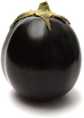 UGRA Brinjal Round Purple Seed(1200 per packet)