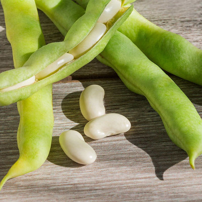 Biosnyg Henderson Lima Bean Seeds[100 Seeds] Seed(100 per packet)