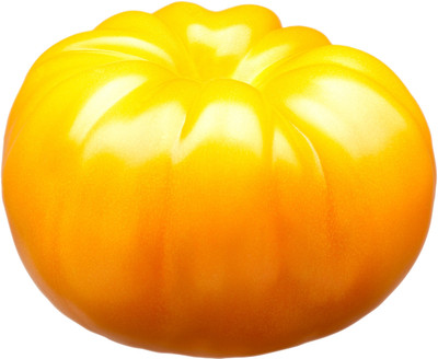 VRAKSHA Tomato Seed(800 per packet)