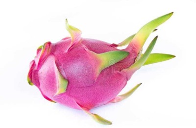 Oliver hybrid dragon fruit seeds Seed(85 per packet)