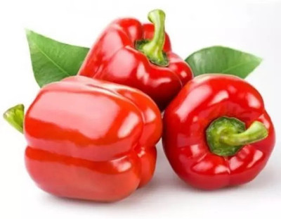 Kirat Red pepper Capsicum Seed(100 per packet)