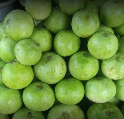 Quentova Tinda Apple Gourd-LXI-6B Seed(50 per packet)