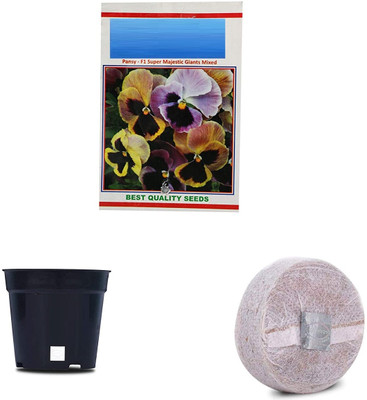 VibeX Super Majestic Pansy F1 Hybrid Combo with Potter & Rootplug Seed(35 per packet)