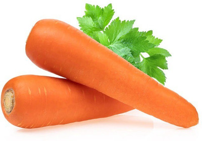 Quentova Orange Carrot Vegetable-3U-KGF Seed(250 per packet)