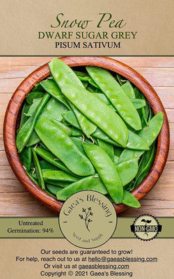 CYBEXIS XL-97 - Snow Pea - (900 Seeds) Seed(900 per packet)